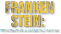 Frankenstein: Penetrating the Secrets of Nature